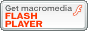 FLASH Player FLASH Player