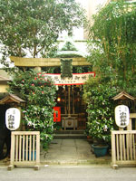 小綱神社 小綱神社